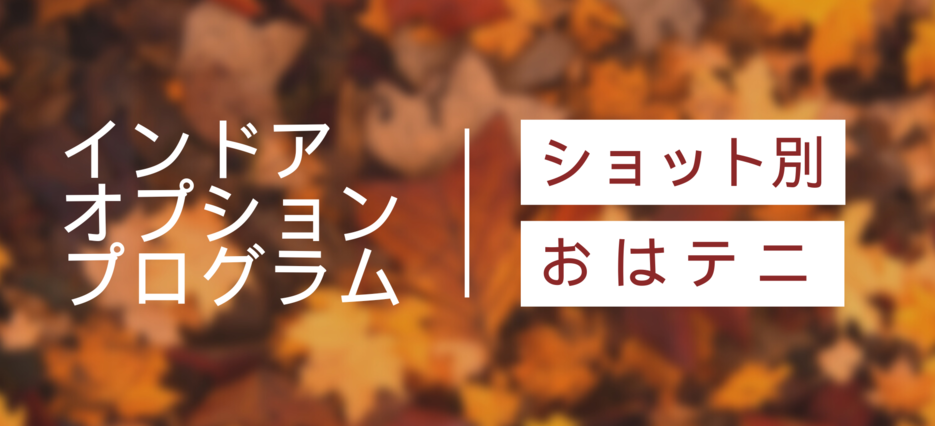 インドアオプション