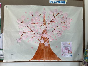 桜の木イベント満開アウトドア.jpg